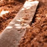 chocolade zand
