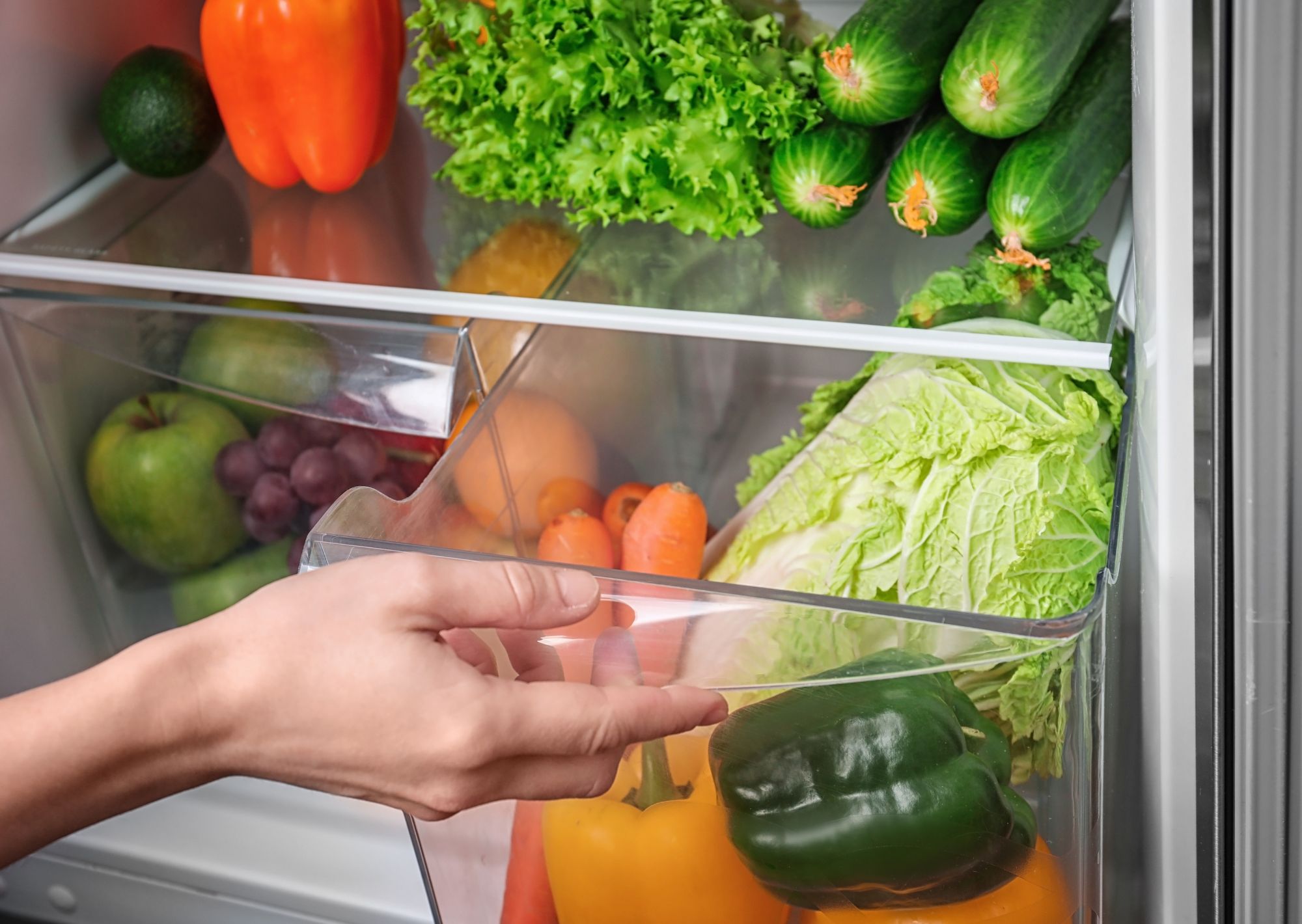 Hoe houd je voedsel vers en veilig? Leer over bacteriën en bewaren