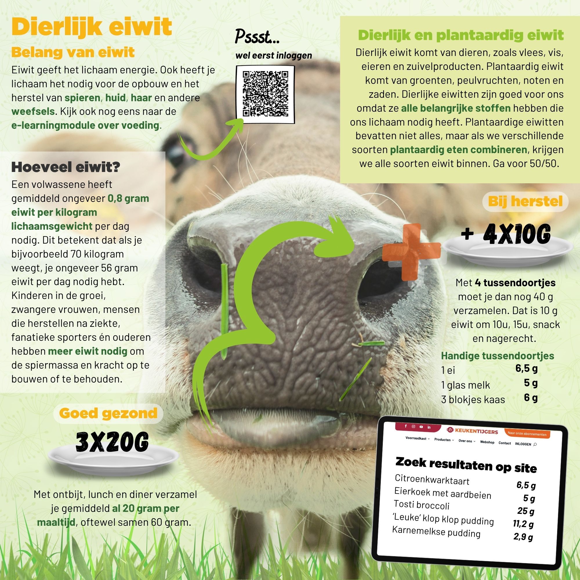 Dierlijk eiwit Keukentijgers
