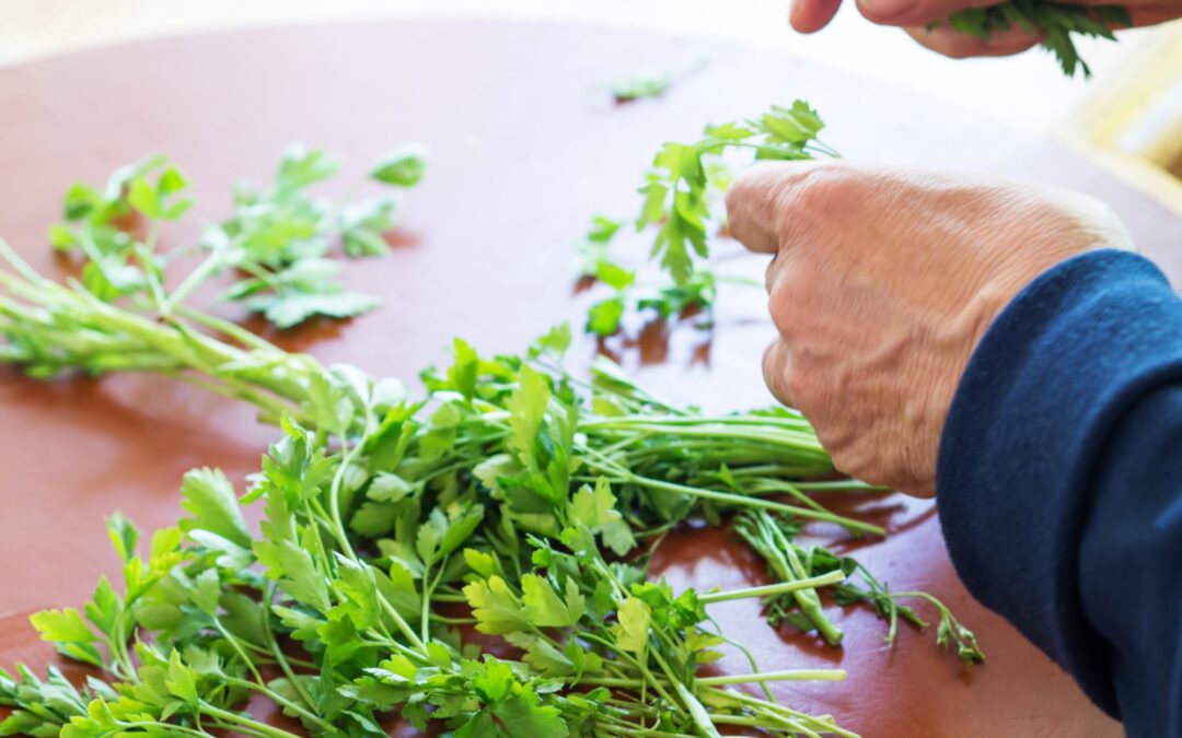 Inspiratiekaart: ‘Kruiden geven kleur, geur en smaakvariatie